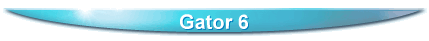 Gator 6
