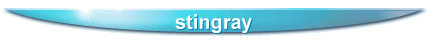 stingray